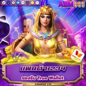 แพนด้า1234
